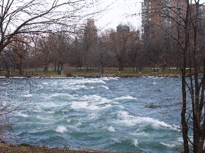 [View across the rapids from island to the shore.]